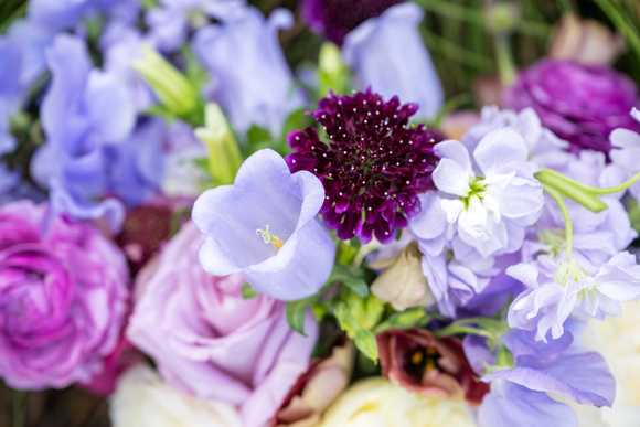 241102-Charleston-Wedding-Photographer-0015