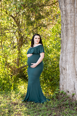 220328-Charleston-Maternity-Photographer-0009