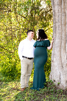 220328-Charleston-Maternity-Photographer-0003