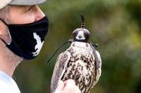 201101-Charleston-Wildlife-Photographer-Center-for-Birds-of-Prey-0003