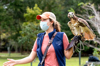 201101-Charleston-Wildlife-Photographer-Center-for-Birds-of-Prey-0017