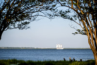 240606-Charleston-Portrait-Photographer-0005