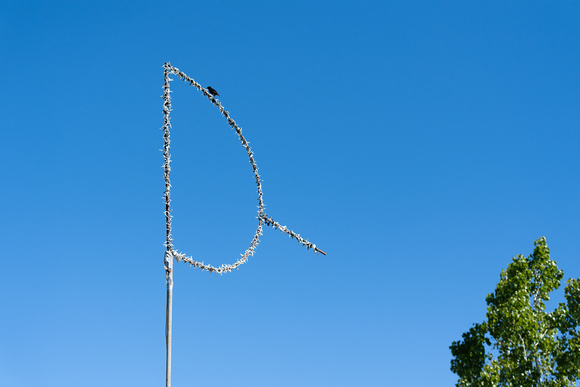 210529-Destination-Wedding-Photographer-0017